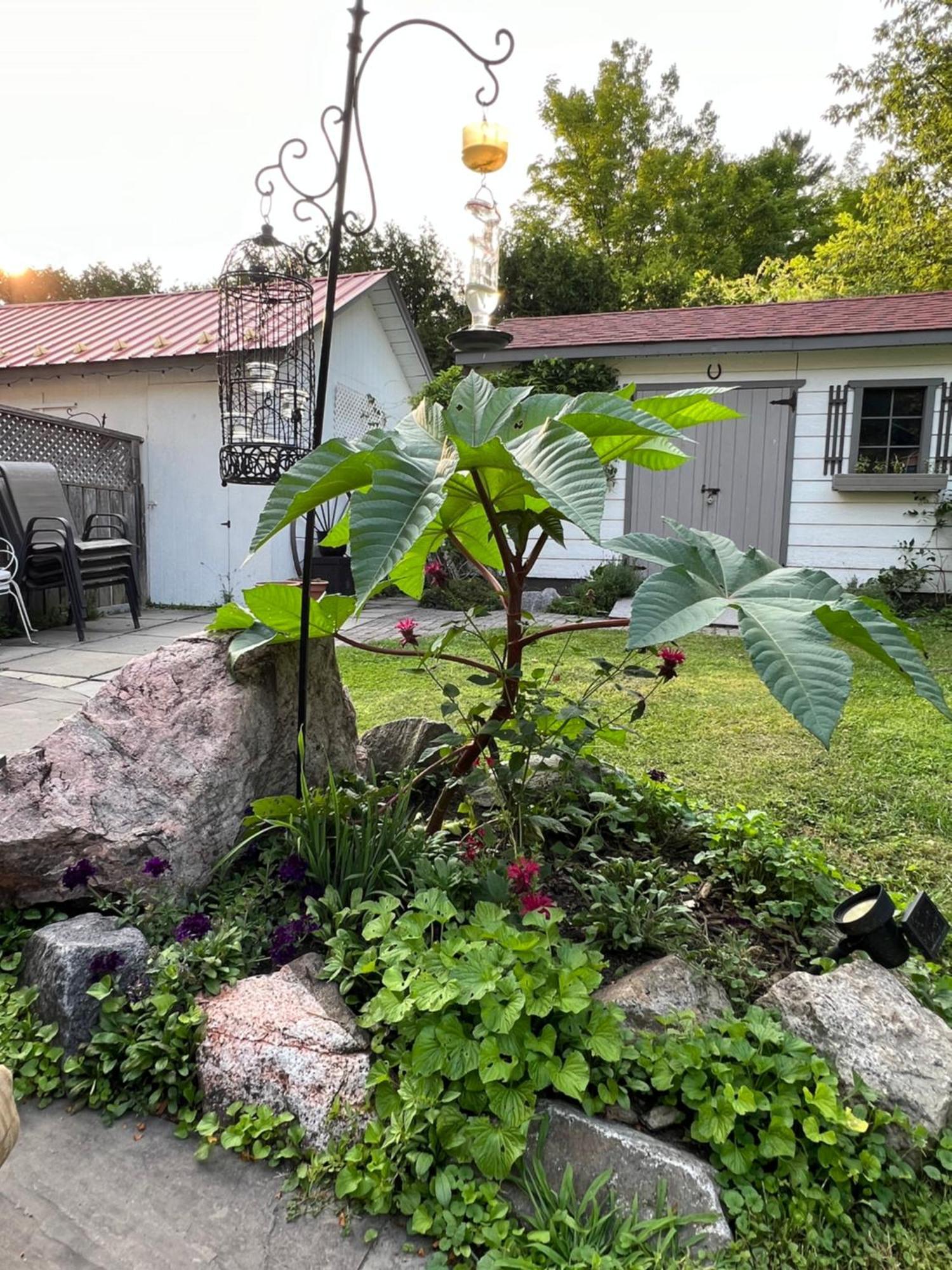 Les Trois Erables Boutique Inn Wakefield Exteriör bild